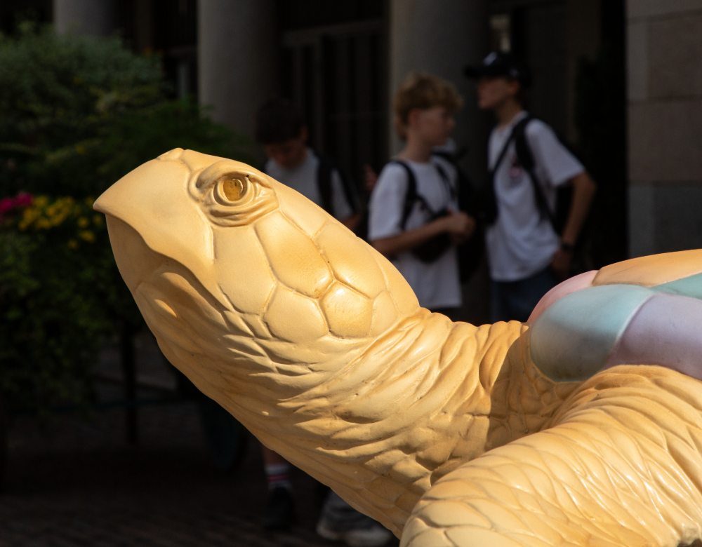 Big tortoise statue